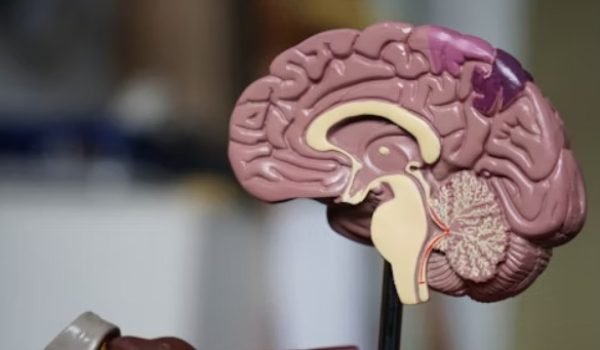 Screenshot 2025-11-15 174814